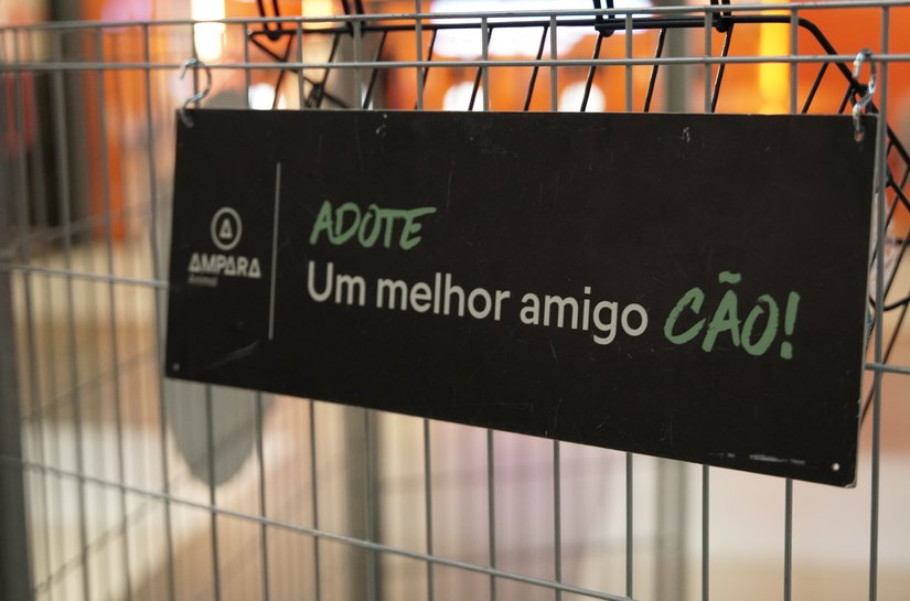 Evento de adoção de pets busca novos lares para animais resgatados em Maceió