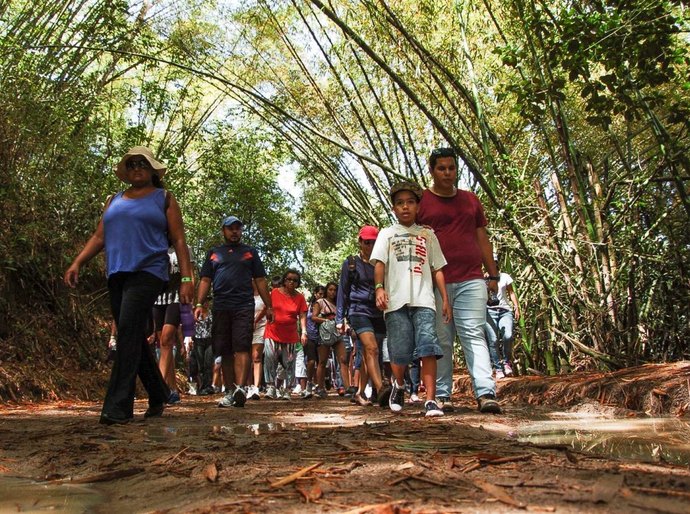 Parque Municipal divulga balanço de ações em 2015