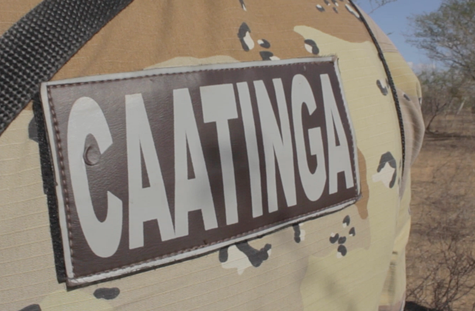 POLÍCIA CAATINGA