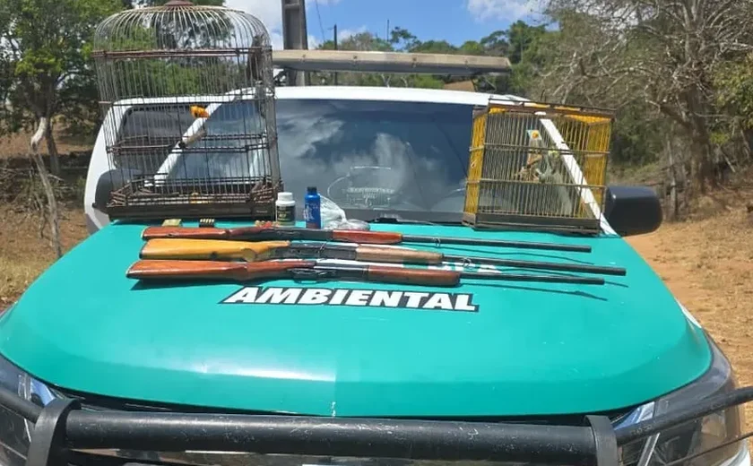 BPA prende homem e apreende armas e aves silvestres em Belém