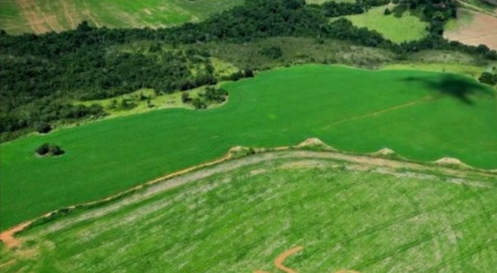 Deputado se surpreendeu com a homenagem e se disse lisonjeado. Foto: Reprodução/Redes Sociais.