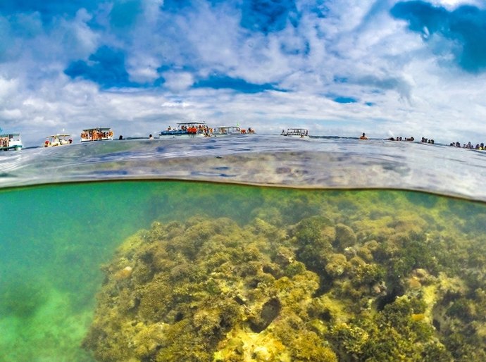 Piscinas naturais de Maragogi são destaque no turismo sustentável