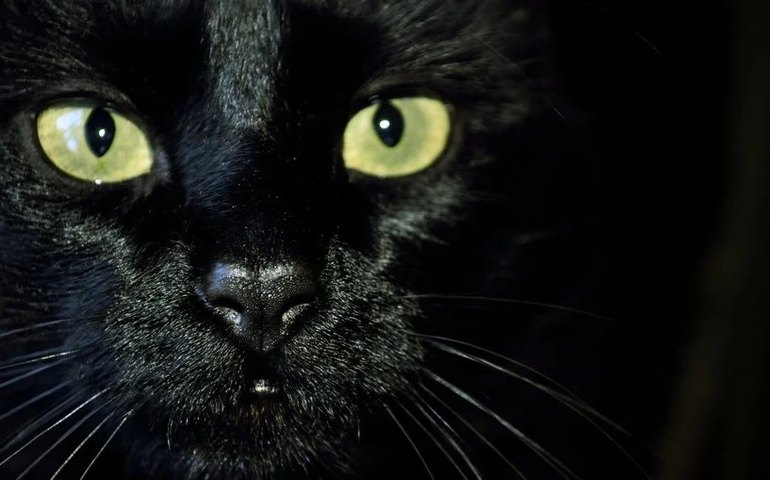 Por que a sexta-feira 13 é associada ao medo e ao azar? Confira algumas histórias