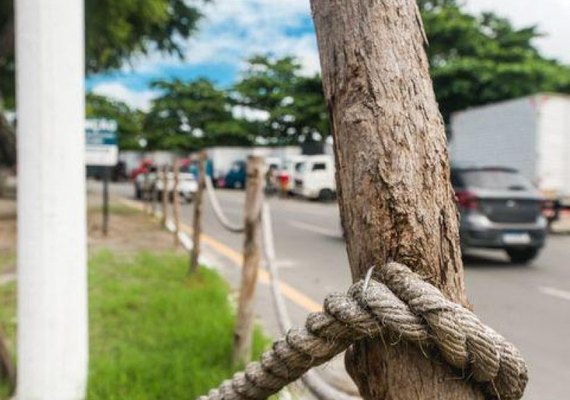 Espaços revitalizados em Maceió sofrem danos por ações de vandalismo
