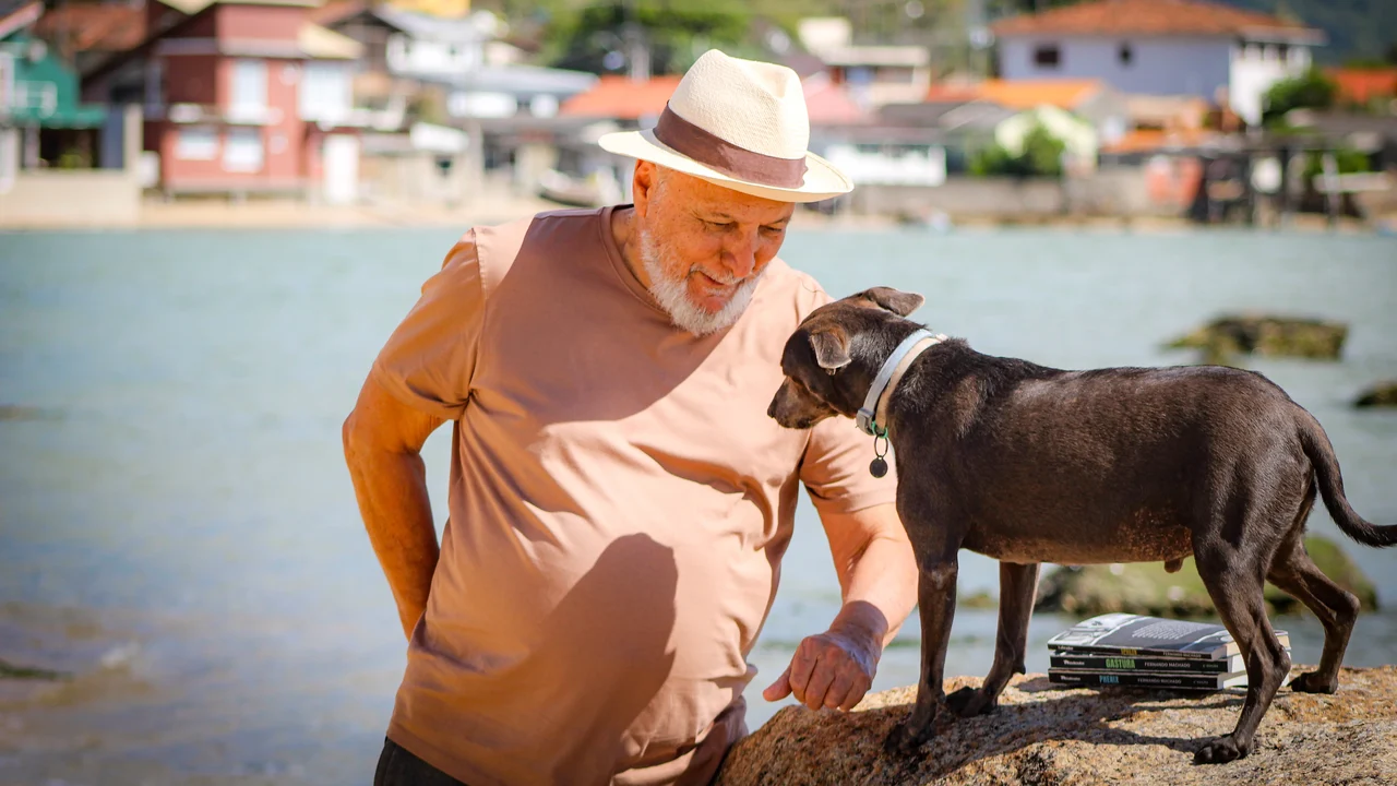 Dia do Amigo: 5 lições que os cães podem ensinar sobre amizade