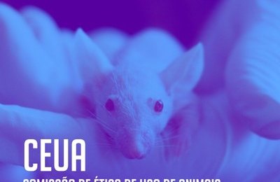 Propep recebe indicação de representantes para a Ceua até domingo