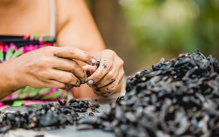 Título de Capital Nacional do Sururu para Maceió passa na CE