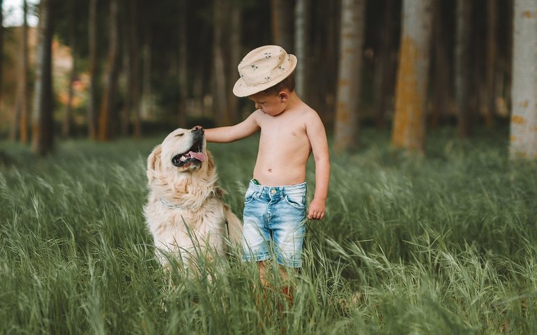 Brincadeiras que aproximam crianças e pets durante as férias