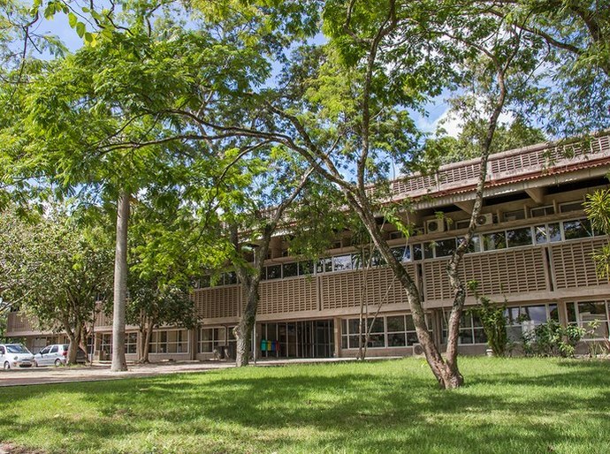 Ufal fará mutirão de poda e capinagem no Campus A.C. Simões