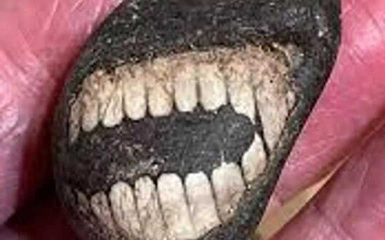 Pedra 'sorridente' de 350 milhões de anos surpreende arqueólogos na costa britânica