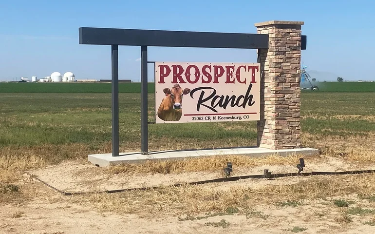 Governo penaliza empresas com mais de 6 mortes em laticínios no Colorado