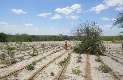 Alagoas receberá R$ 2 milhões para aquisição de kits de irrigação