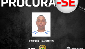 Disque-denúncia 181 / Foto: Reprodução/SSP