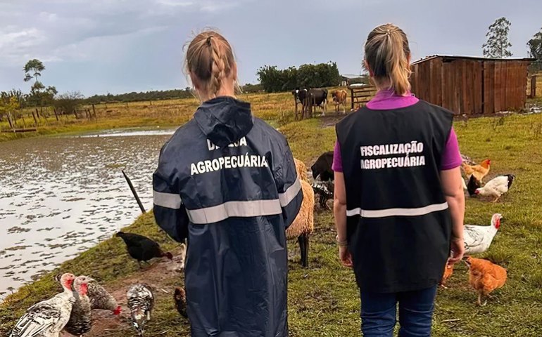 São Paulo registra primeiro caso de gripe aviária em 2025