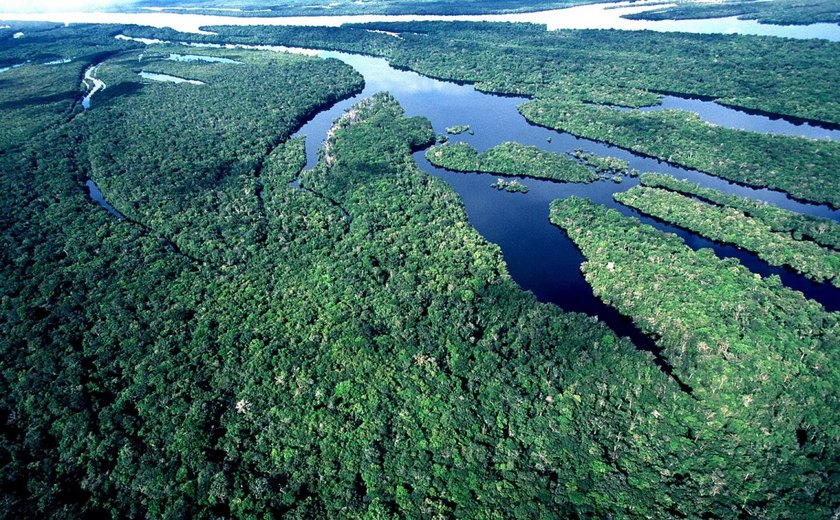 Crime dispara na Amazônia, e maioria diz que governo não age