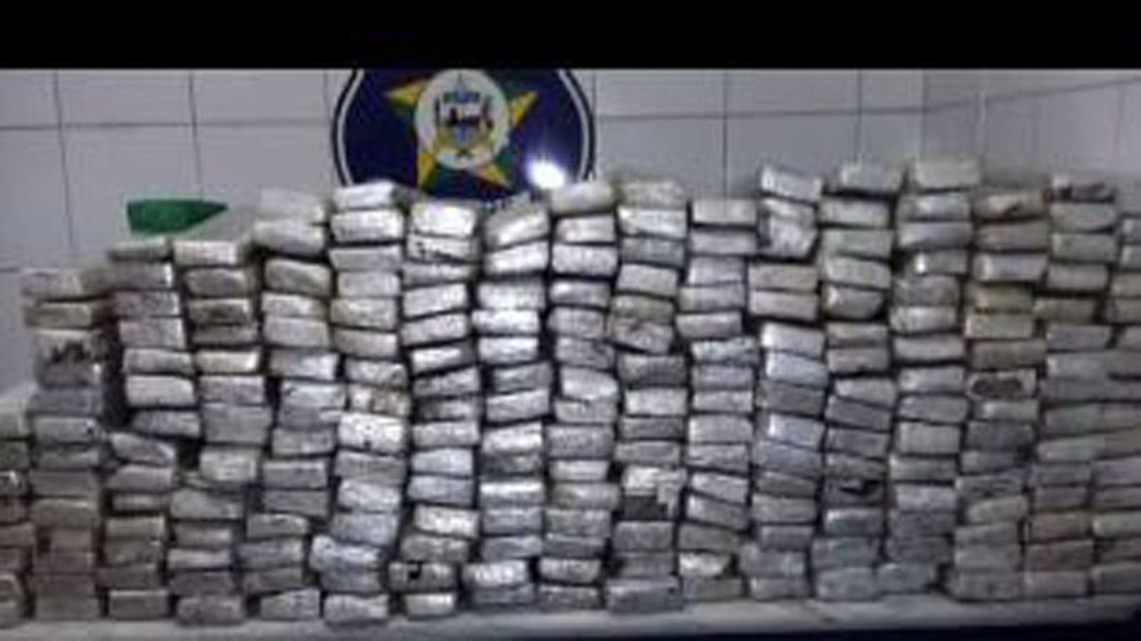 Polícia apreende mais de 300 kg de maconha dentro de carro na AL-210