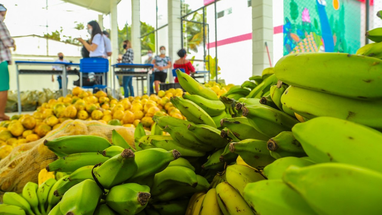 Prefeitura de Penedo já distribuiu mais de 140 toneladas de alimentos da agricultura familiar nas escolas