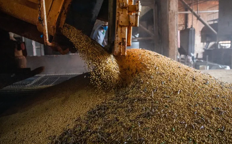 Soja e minério de ferro desaceleram inflação no atacado no IGP-10 de setembro, afirma FGV