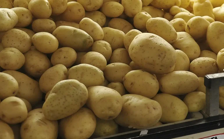 Preços da batata, da cebola e da cenoura caem no atacado em setembro, mostra Conab