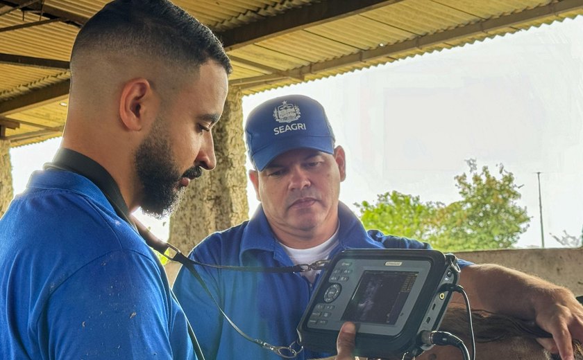 Secretaria de Agricultura abre turma para primeira capacitação em bovinos de 2026