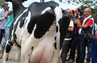 Lançamento da 36ª Expo Bacia Leiteira acontece nessa quarta (8) pela manhã em Batalha
