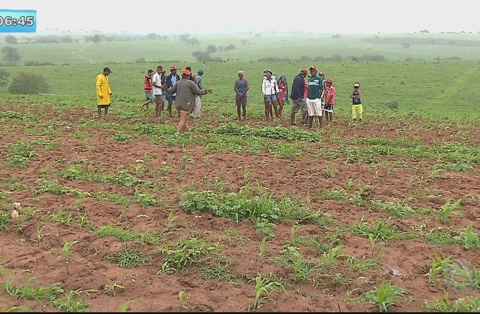 agricultores