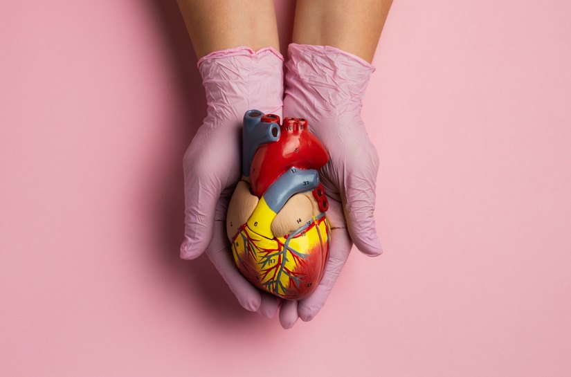 Doenças cardiovasculares matam 400 mil brasileiros por ano e atingem 20,5 milhões de pessoas no mundo