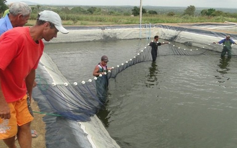Governo debate flexibilização de licenciamento ambiental para a aquicultura
