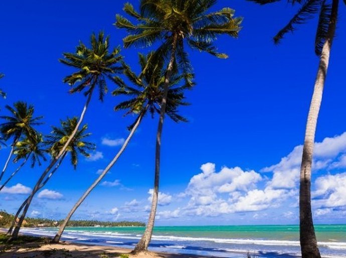 Sedetur mantém agenda cultural colaborativa no portal turismoalagoas.com