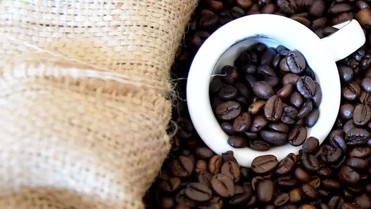 FAO alerta para turbulências nos mercados globais de café, cacau e chá