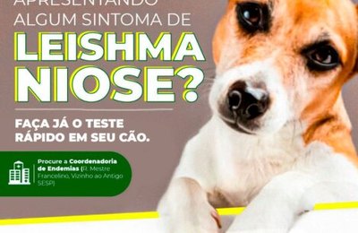 Piaçabuçu está realizando teste rápido em cães para combater a Leishmaniose
