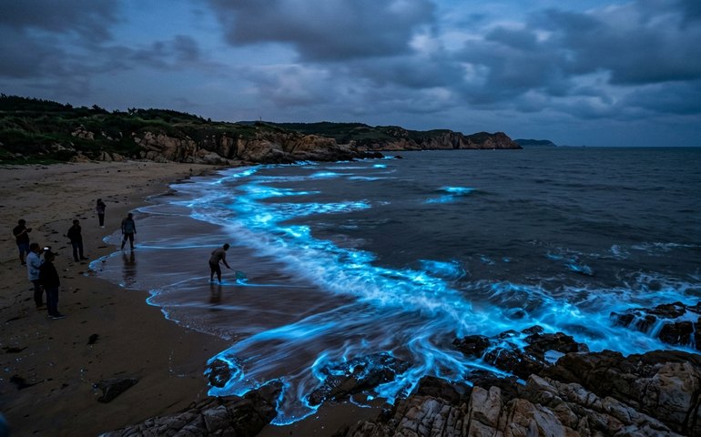 Lágrimas azuis encantam a costa da China