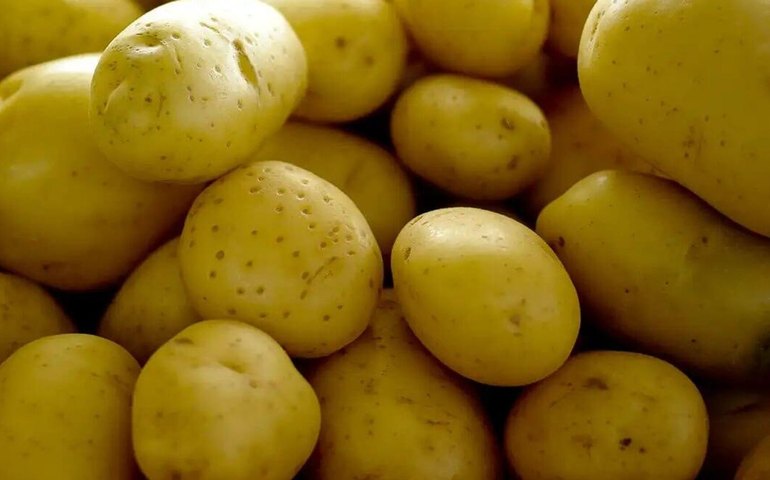 Batata, ovos e verduras aliviam inflação em agosto em São Paulo