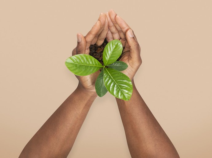 WAP recicla quase 150 toneladas de resíduos em 2024 e reforça compromisso com sustentabilidade e inovação