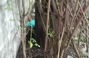 Vítima foi encontrada em terreno