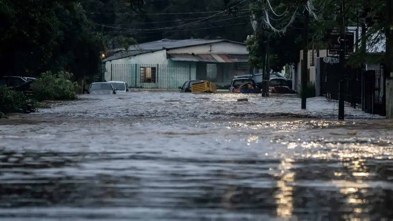 Medidas preventivas salvariam muitas vidas