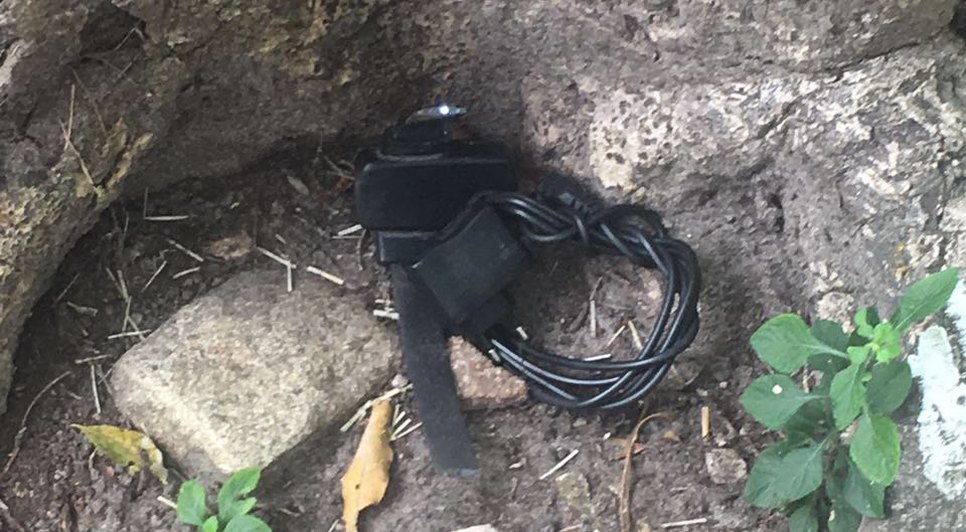 tornozeleira eletrônica