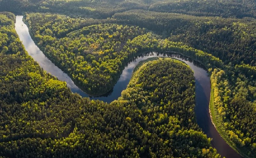 Fundo Amazônia e fim de desmate podem render R$ 95 bi em dez anos