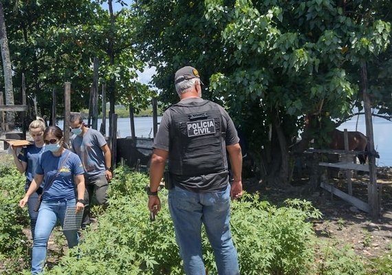 Polícia Civil e Vigilância Sanitária realizam ação de combate às pocilgas clandestinas nas áreas urbanas de Maceió