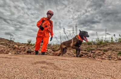 Cão farejador do Corpo de Bombeiros auxilia buscas por homem desaparecido após fortes chuvas em Piranhas