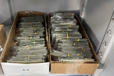 Mais de 147 mil Carteiras de Identidade Nacional aguardam retirada no Instituto de Identificação de Alagoas