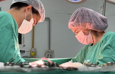 HGE inicia o fim de semana realizando captação de dois rins e um fígado para transplante