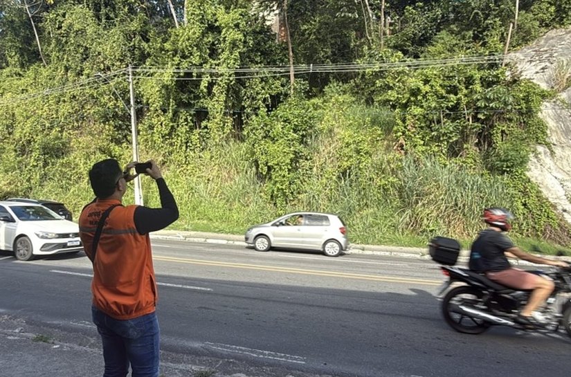 Defesa Civil pede retirada de árvores em áreas de risco e próximas à rede elétrica