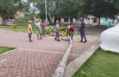 Parceria entre secretarias municipais e Defesa Civil realiza poda de árvores em Coruripe 