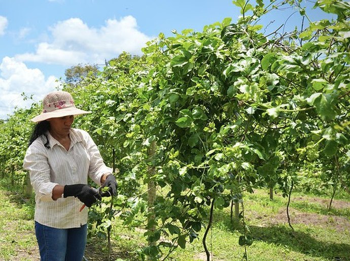 Entre retalhos e oportunidades: a moda que gerou impacto social na vida de mulheres da periferia