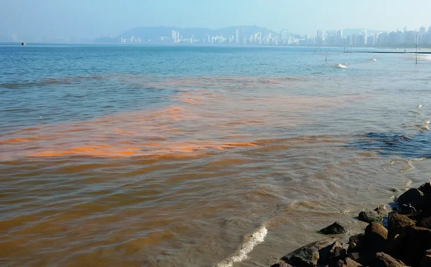 ICMBio alerta maré vermelha em Alagoas