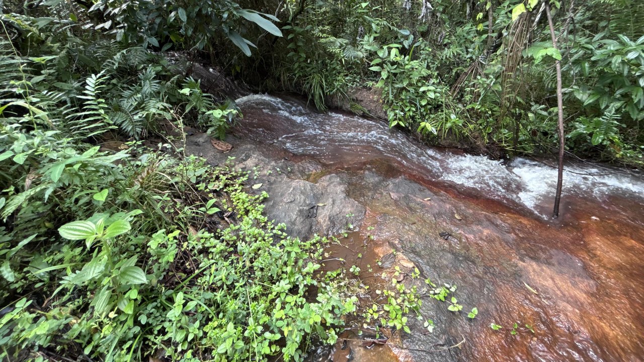 Rota do Cacau amplia ecoturismo e preservação ambiental em Matriz de Camaragibe