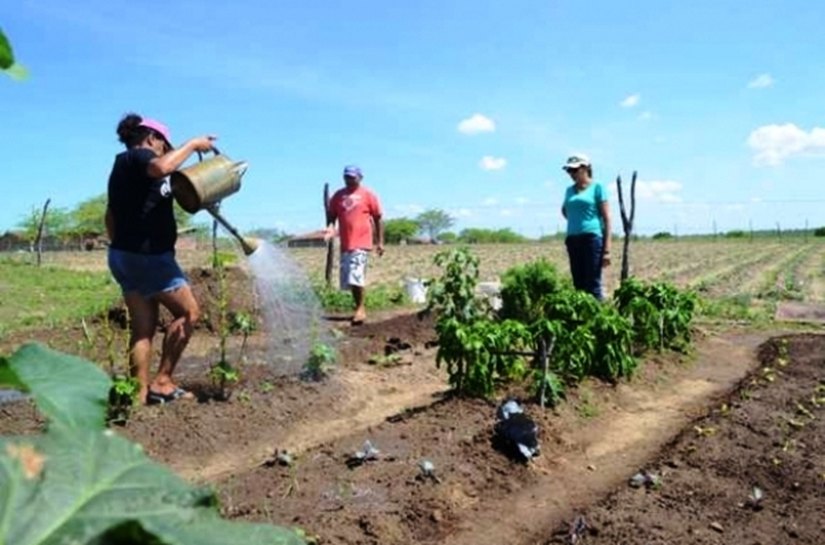 Técnicos da Emater são habilitados no Cadastro Ambiental Rural