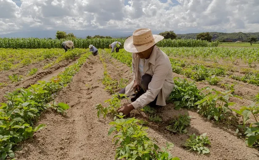 Deputados discordam sobre limites à aquisição de produtos provenientes de terras invadidas