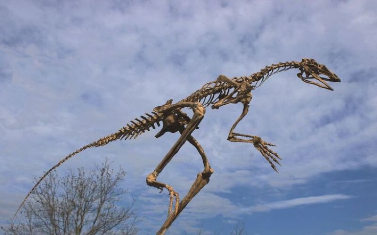 Pesquisadores da UFSM descobrem fóssil precursor dos pterossauros